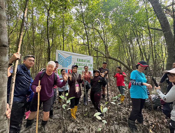 Mangrove Tree Planting 02